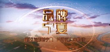 宁夏卫视在线直播观看,尽享精彩瞬间，共赴视觉盛宴